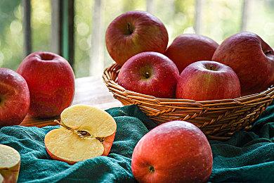 《足球经理25》宣布取消开发 开发商将专注开发新作